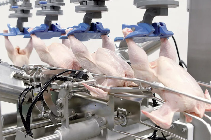 CHICKEN WINGS CUT-UP FOR FAST FOOD